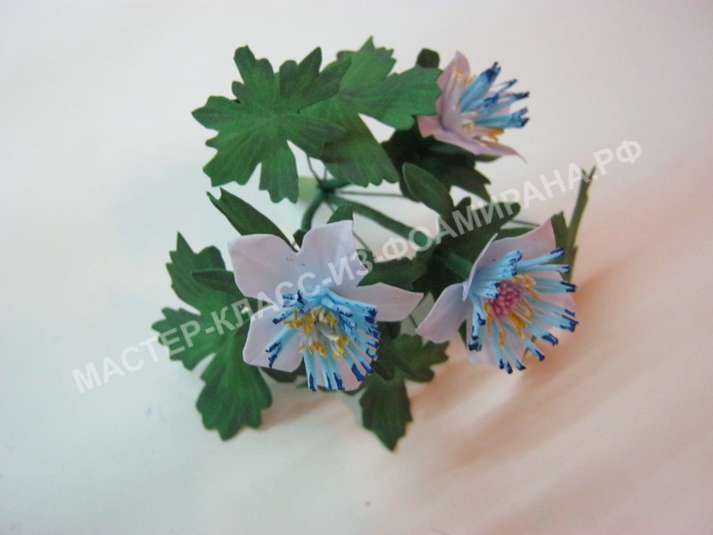 мастер-класс простые цветы из фоамирана,пошаговое фото