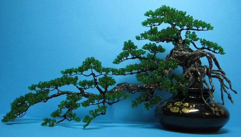 Особенности создания дерева бансай
