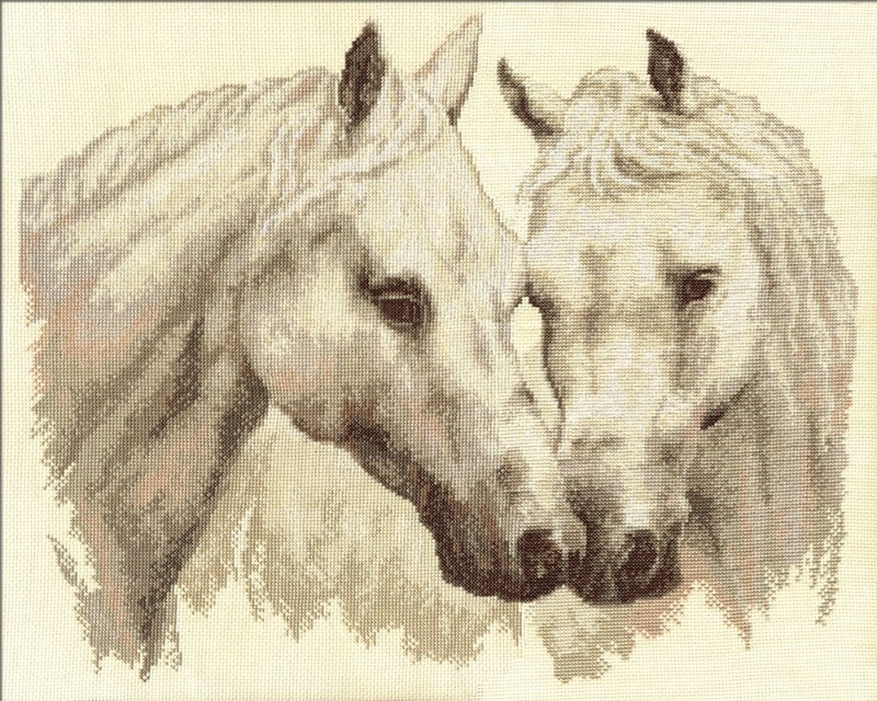 Две лошадиные морды